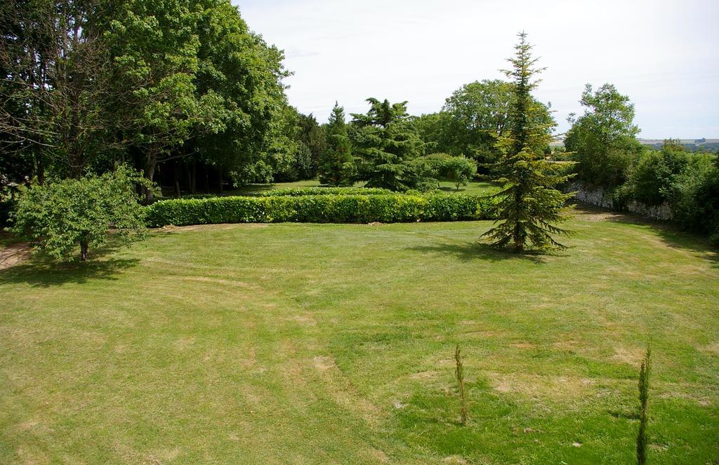 L'Olivier Villa Monts-sur-Guesnes Exterior foto