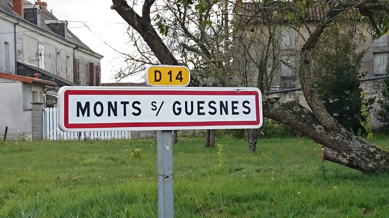 L'Olivier Villa Monts-sur-Guesnes Exterior foto