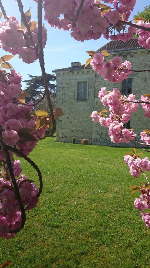 L'Olivier Villa Monts-sur-Guesnes Exterior foto