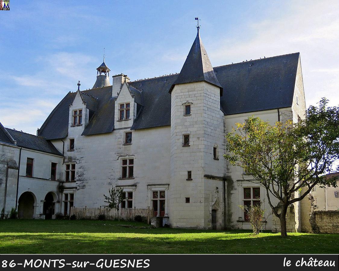 L'Olivier Villa Monts-sur-Guesnes Exterior foto