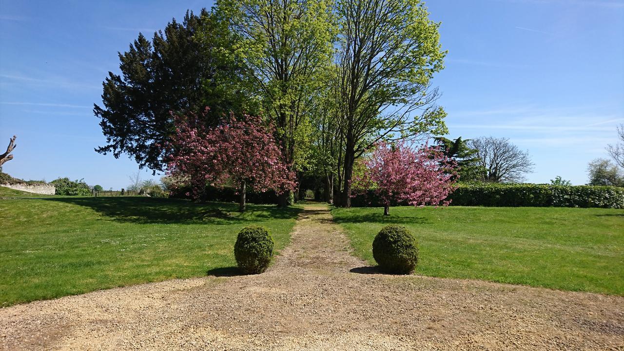 L'Olivier Villa Monts-sur-Guesnes Exterior foto